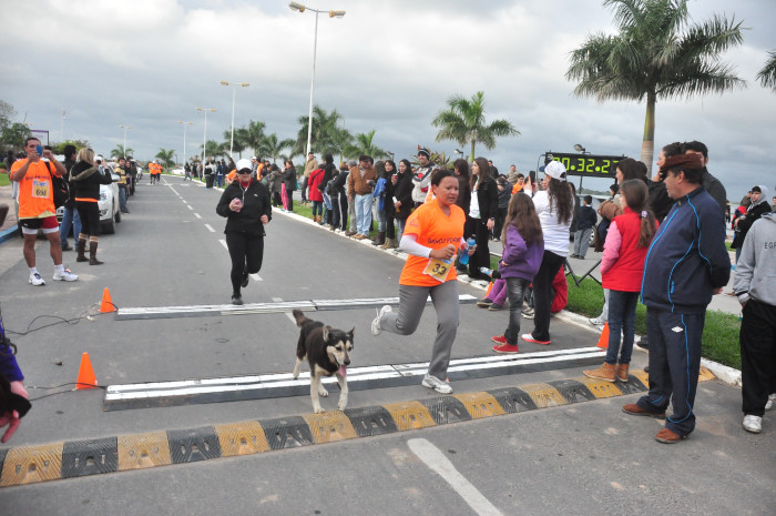 Clasificación y tiempos de todos los participantes de la Maratón 5K. Galería de 300 fotos