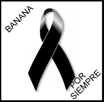 Motociclista pierde la vida al embestir poste de luz en la avenida Gutnisky