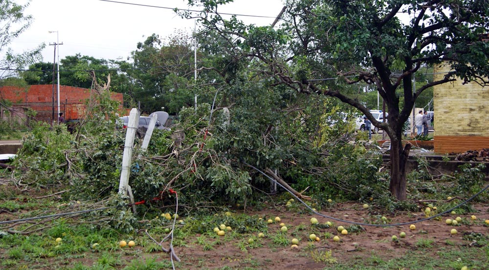 Tornado en General Güemes: 60 fotos para entender el milagro