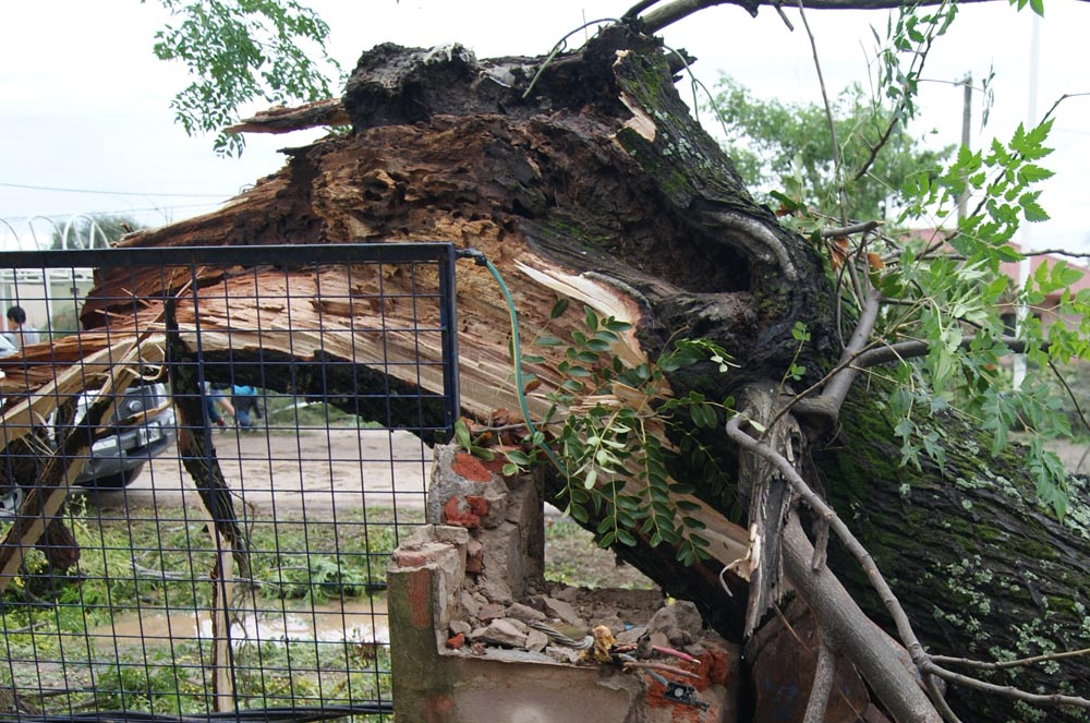 Tornado en General Güemes: 60 fotos para entender el milagro