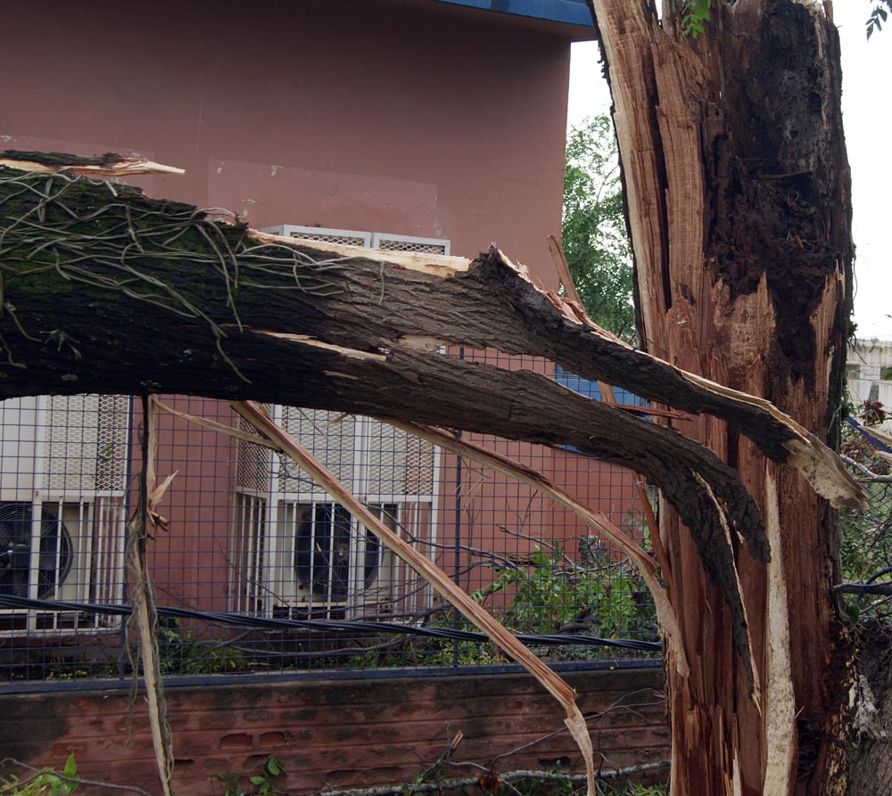 Tornado en General Güemes: 60 fotos para entender el milagro