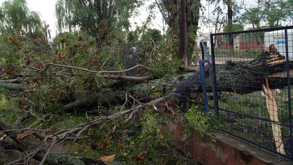 Tornado en General Güemes: 60 fotos para entender el milagro
