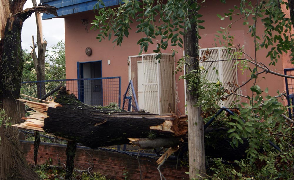 Tornado en General Güemes: 60 fotos para entender el milagro