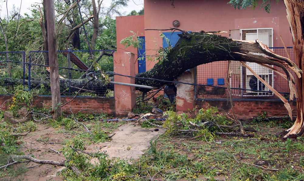 Tornado en General Güemes: 60 fotos para entender el milagro