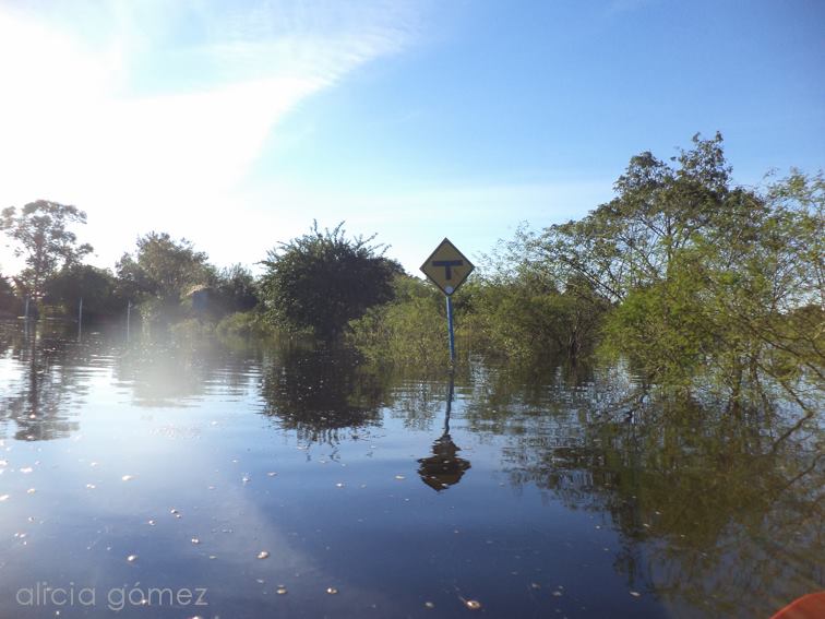 Laguna Oca bajo agua, galería de fotos