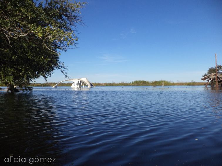 Laguna Oca bajo agua, galería de fotos