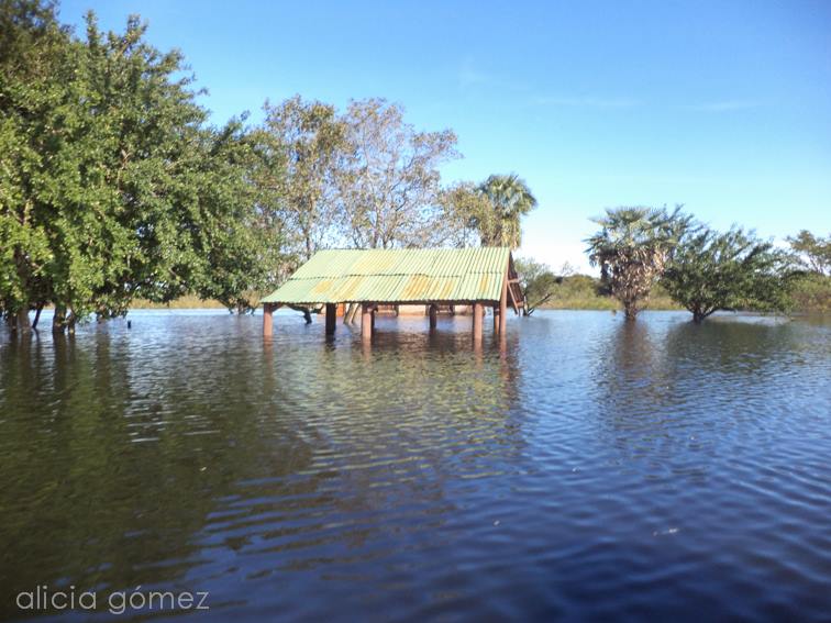 Laguna Oca bajo agua, galería de fotos
