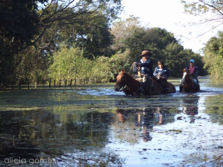 Laguna Oca bajo agua, galería de fotos