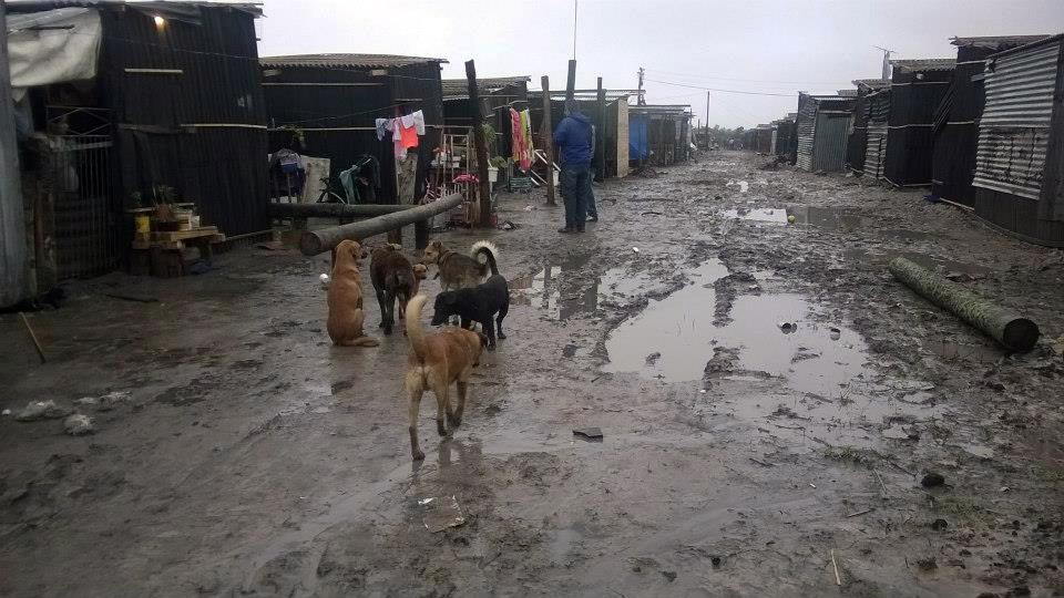 Así es un barrio de inundados. Foto: Facebook 