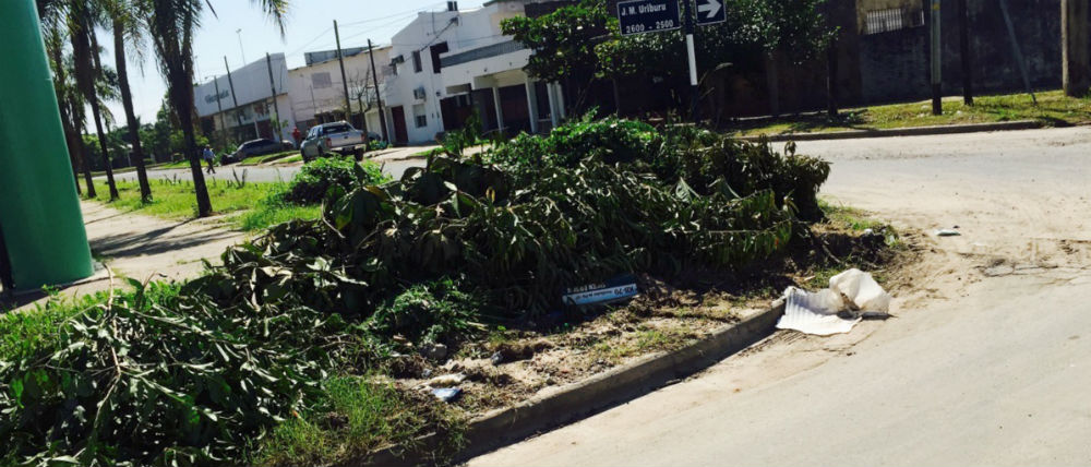 basura 02