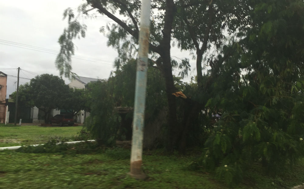 Así amaneció la ciudad después del temporal