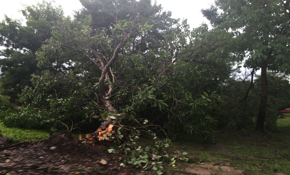Así amaneció la ciudad después del temporal