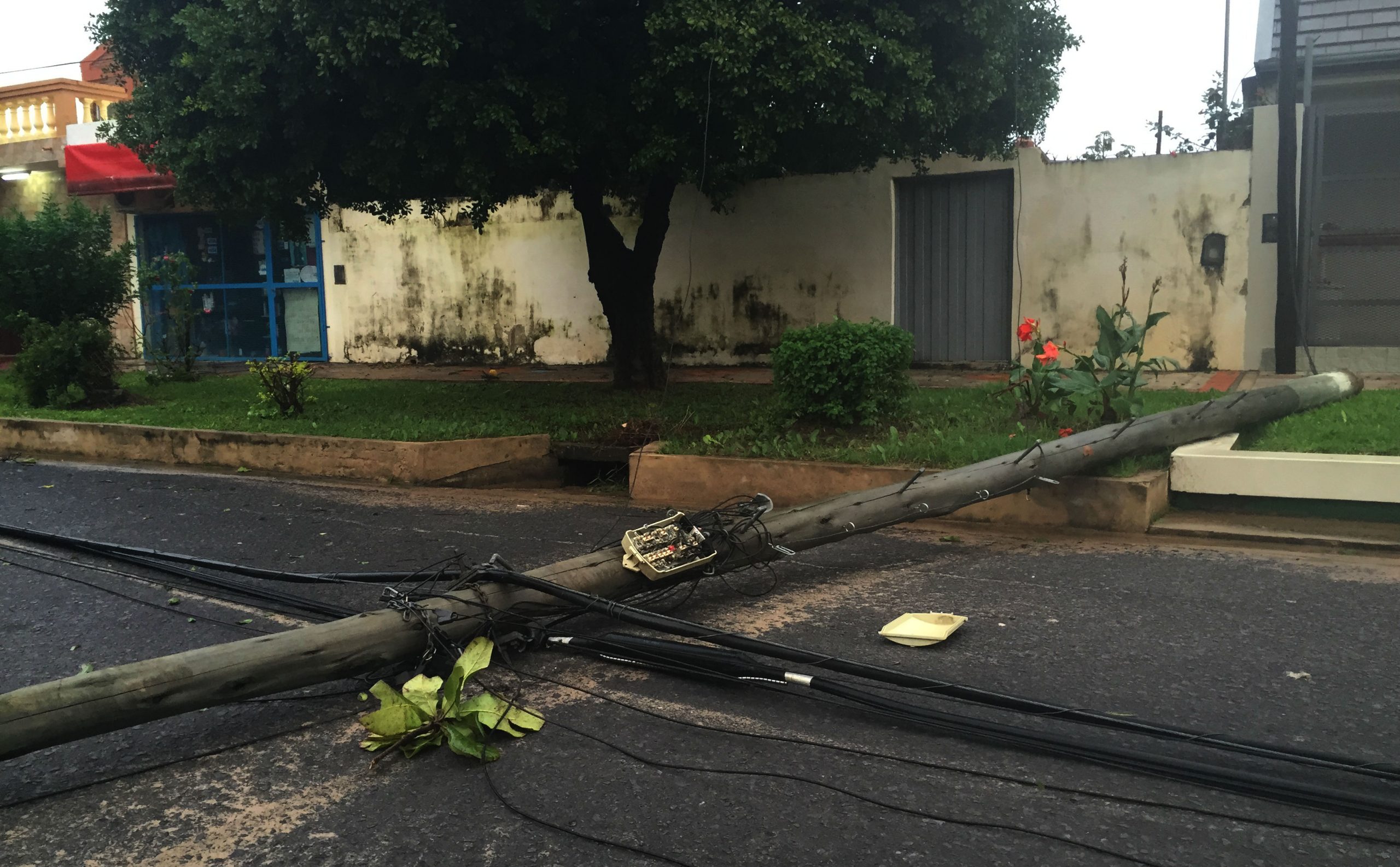 Así amaneció la ciudad después del temporal