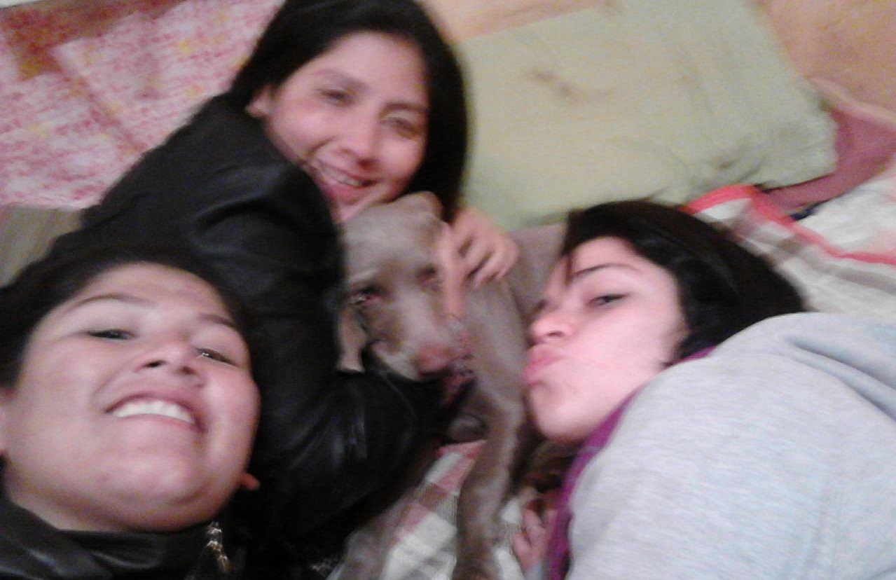 Dos detenidos, acusados de robar y vender una perra en el C5