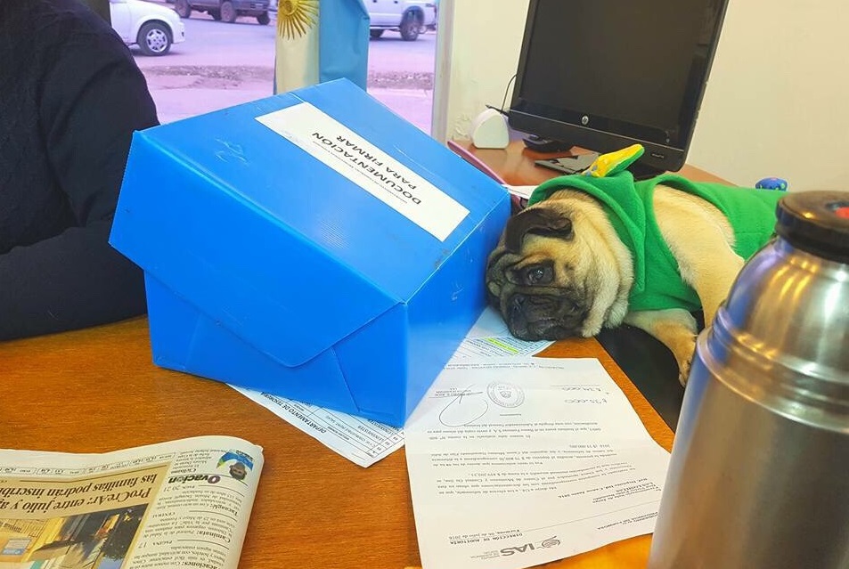 El intendente Basualdo también tiene su «Balcarce», como Macri