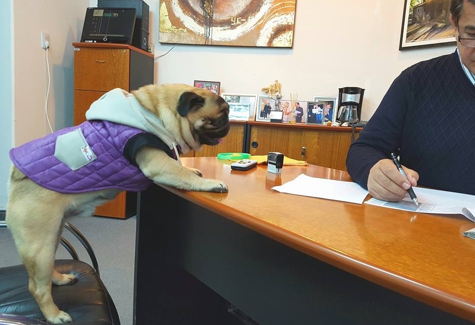 El intendente Basualdo también tiene su «Balcarce», como Macri