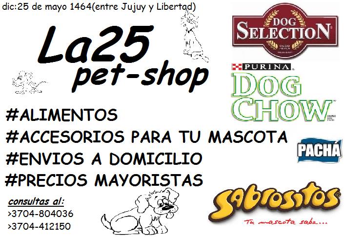 Mascoteros hicieron una sentada frente a Casa de Gobierno por la desaparición de dos perritos