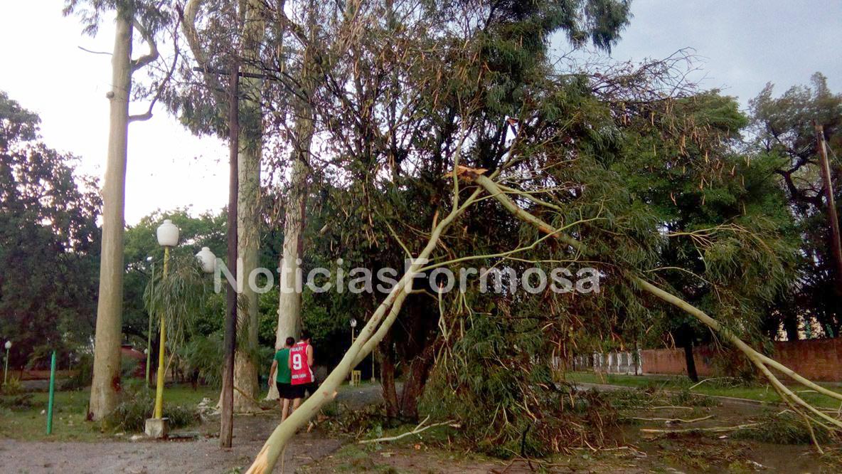 Fuertes vientos en Laishí provocaron daños, no hay luz (galería de fotos)