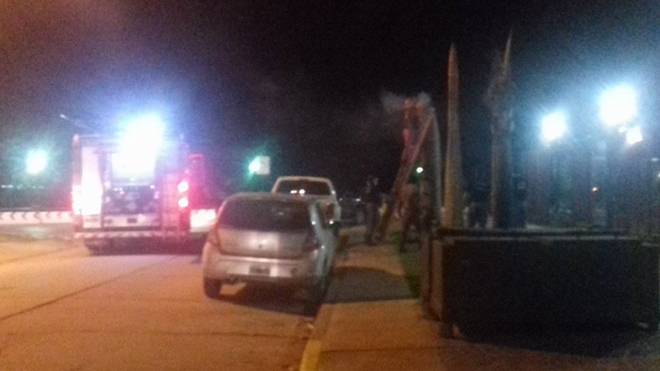 Incendio de palmeras frente a las «Torres Costanera» (video)