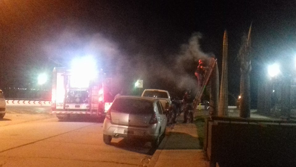 Incendio de palmeras frente a las «Torres Costanera» (video)