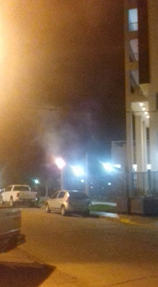 Incendio de palmeras frente a las «Torres Costanera» (video)