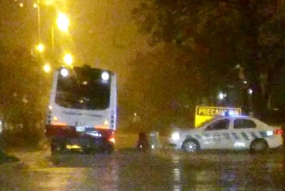 Árboles caídos y calles inundadas por la lluvia y el viento