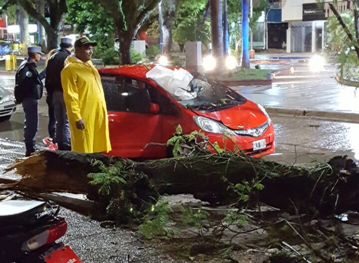 Árboles caídos y calles inundadas por la lluvia y el viento