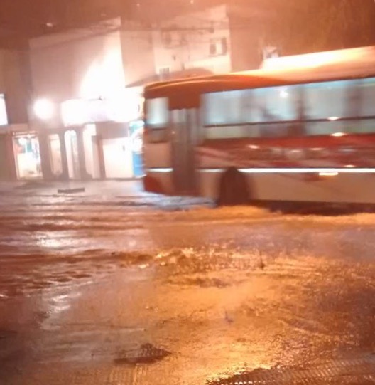Árboles caídos y calles inundadas por la lluvia y el viento