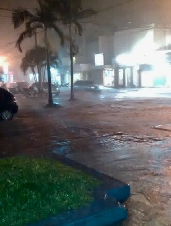 Árboles caídos y calles inundadas por la lluvia y el viento