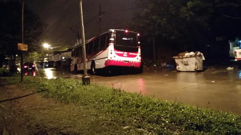 Cayeron autos y un colectivo en los pozos sin señalizar de obras de desagüe en el barrio La Paz