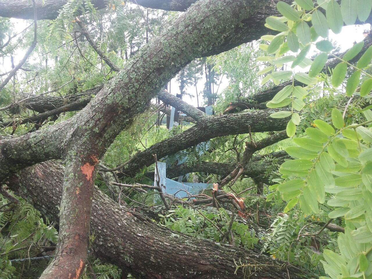 El temporal también afectó a El Colorado
