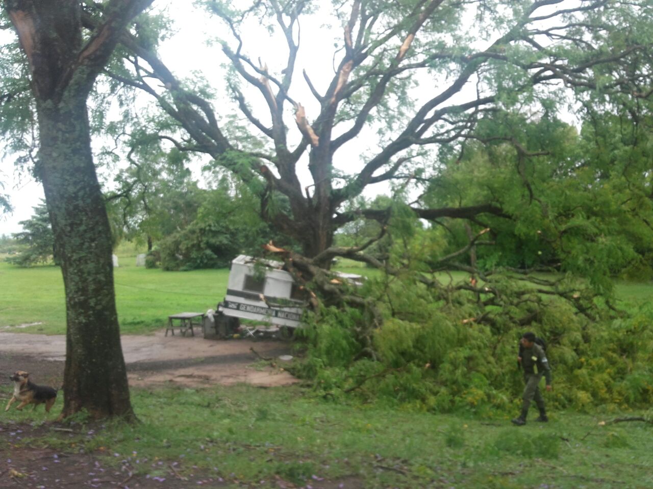 El temporal también afectó a El Colorado