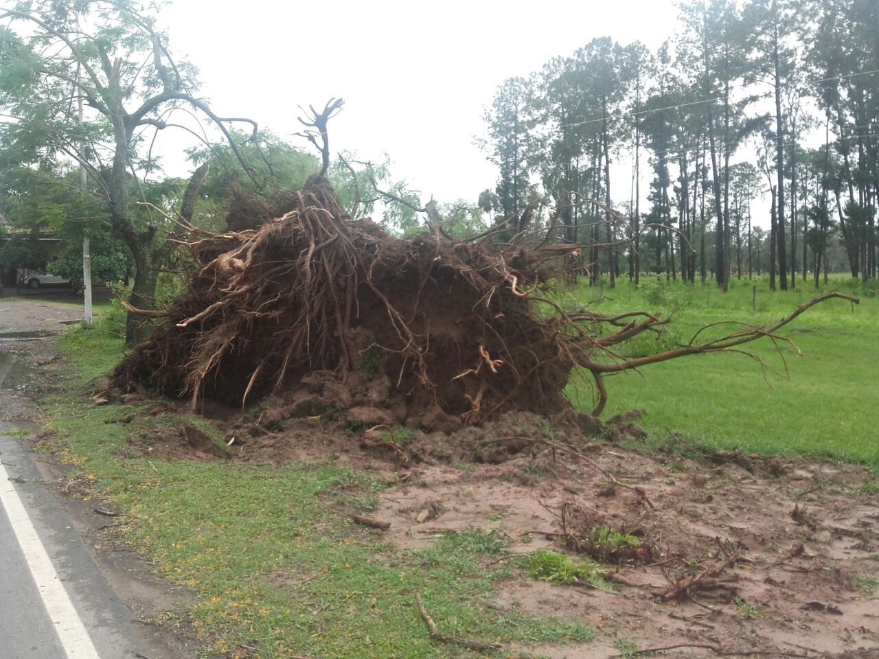 El temporal también afectó a El Colorado