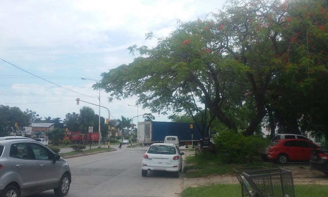 Un camión enganchó cables y dejó postes caídos y semáforo sin funcionar