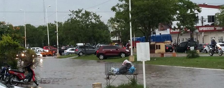 autos-en-la-avenida