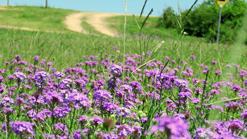#FormosaHermosa / Tampoco se pueden sacar fotografías en Laguna Oca?