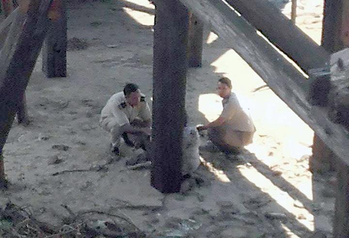 «Cayó o se tiró al río» desde el muelle, la rescató un canoero y pudo salvarse