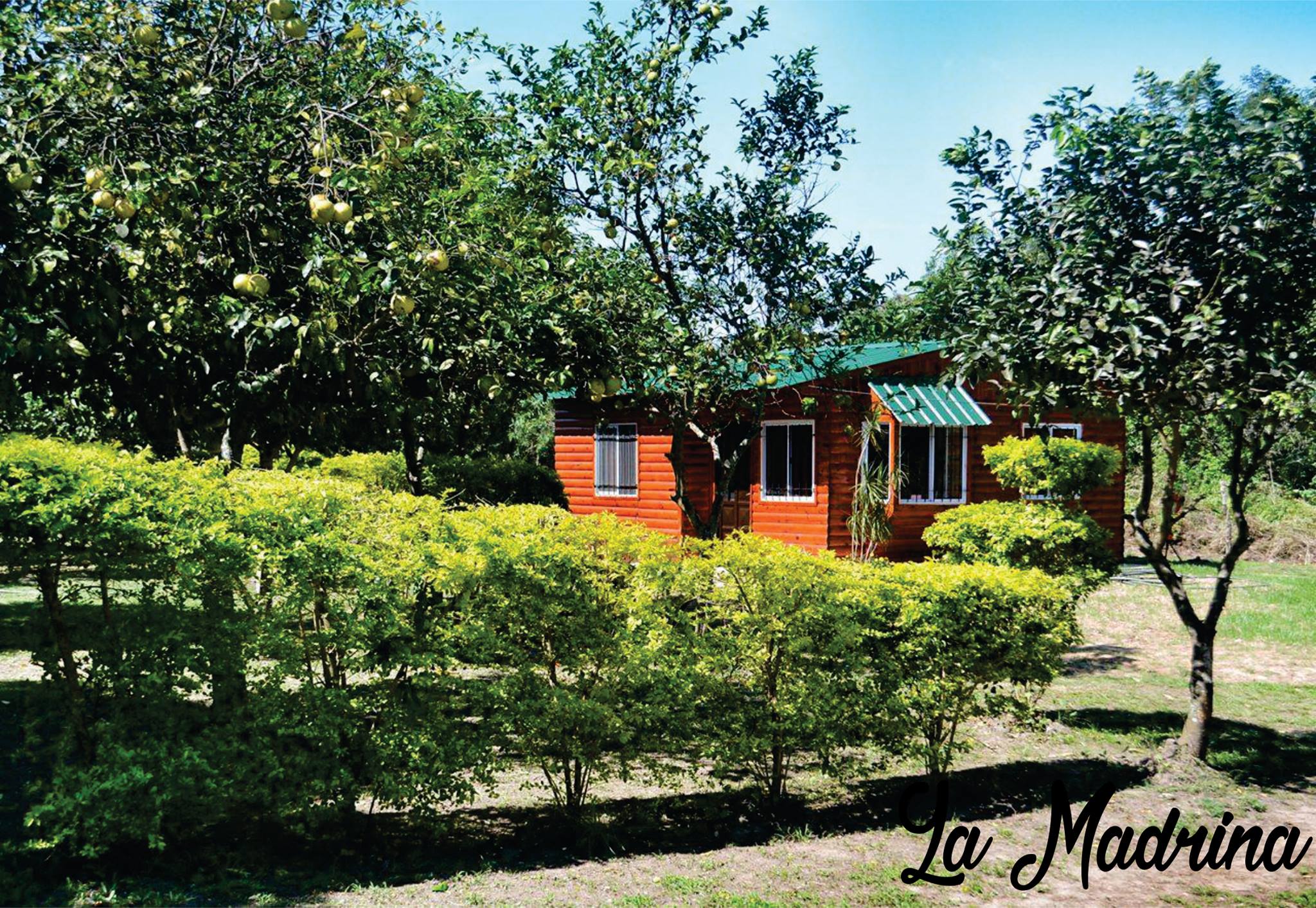 Formoseña de ley, Mimi Sosa triunfa en el exterior pero invierte en Herradura