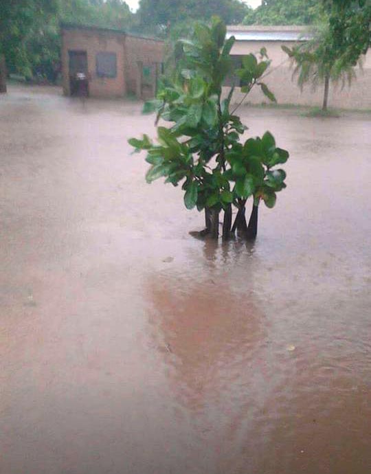 Ibarreta bajo agua, más de 200 milímetros de lluvia caída. Hay evacaudos