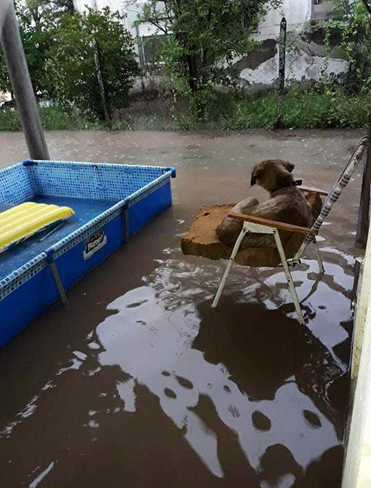 Ibarreta bajo agua, más de 200 milímetros de lluvia caída. Hay evacaudos