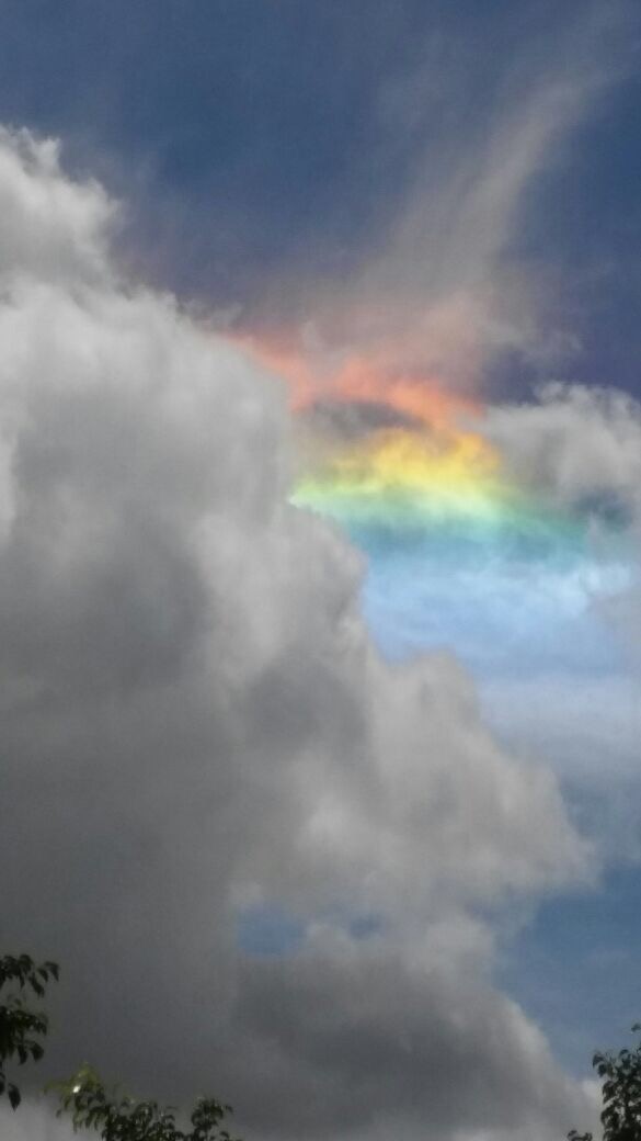 Maravillosa naturaleza: irisdencia o arco iris de fuego en la zona de Laguna Blanca y Clorinda