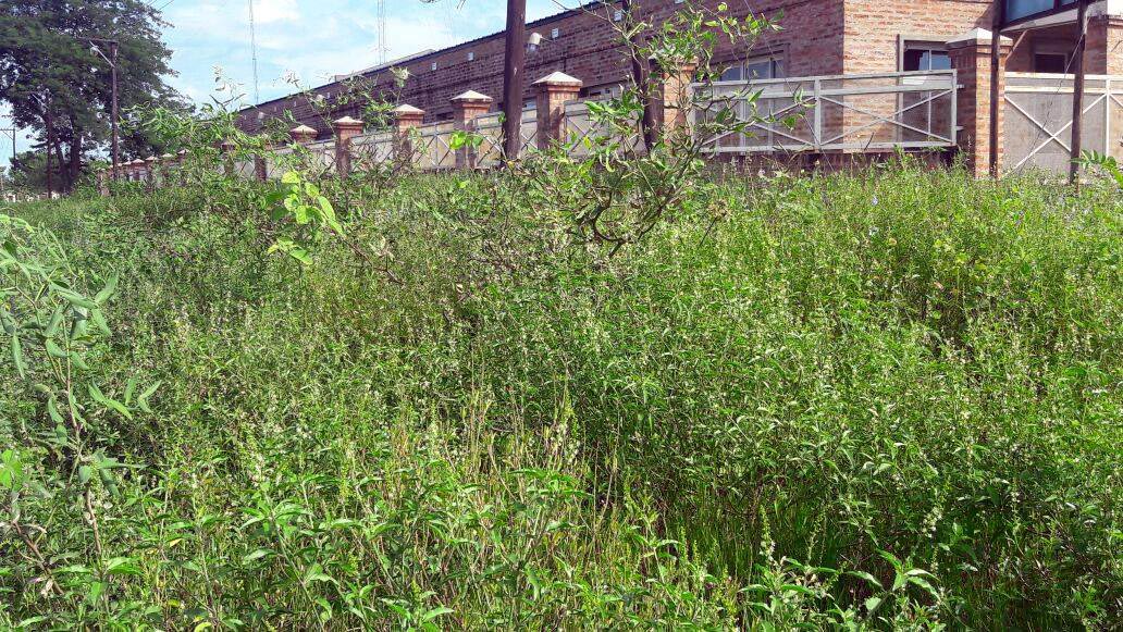 Piden que terminen una escuela, «hoy abandonada», que comenzó a construirse en el 2011