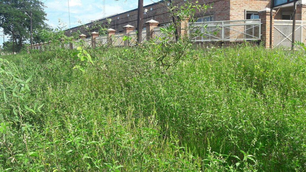 Piden que terminen una escuela, «hoy abandonada», que comenzó a construirse en el 2011