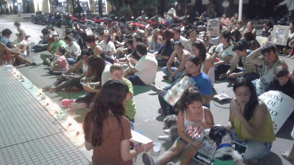 Mascoteros hicieron una sentada frente a Casa de Gobierno por la desaparición de dos perritos