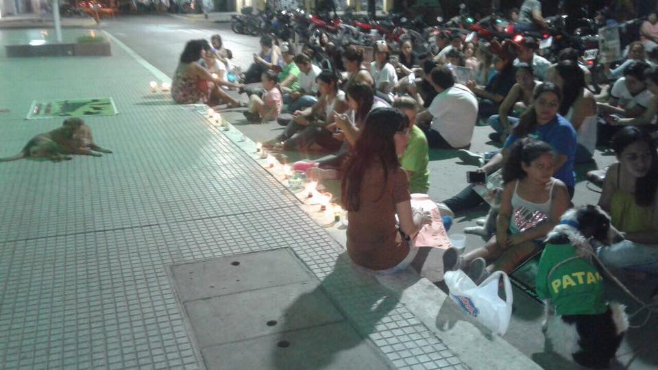 Mascoteros hicieron una sentada frente a Casa de Gobierno por la desaparición de dos perritos