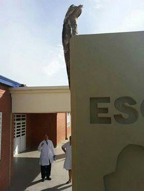 El kakuy, «pájaro fantasma» o «ave de los muertos» fue la atracción del barrio Nueva Formosa