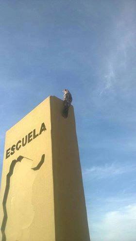 El kakuy, «pájaro fantasma» o «ave de los muertos» fue la atracción del barrio Nueva Formosa