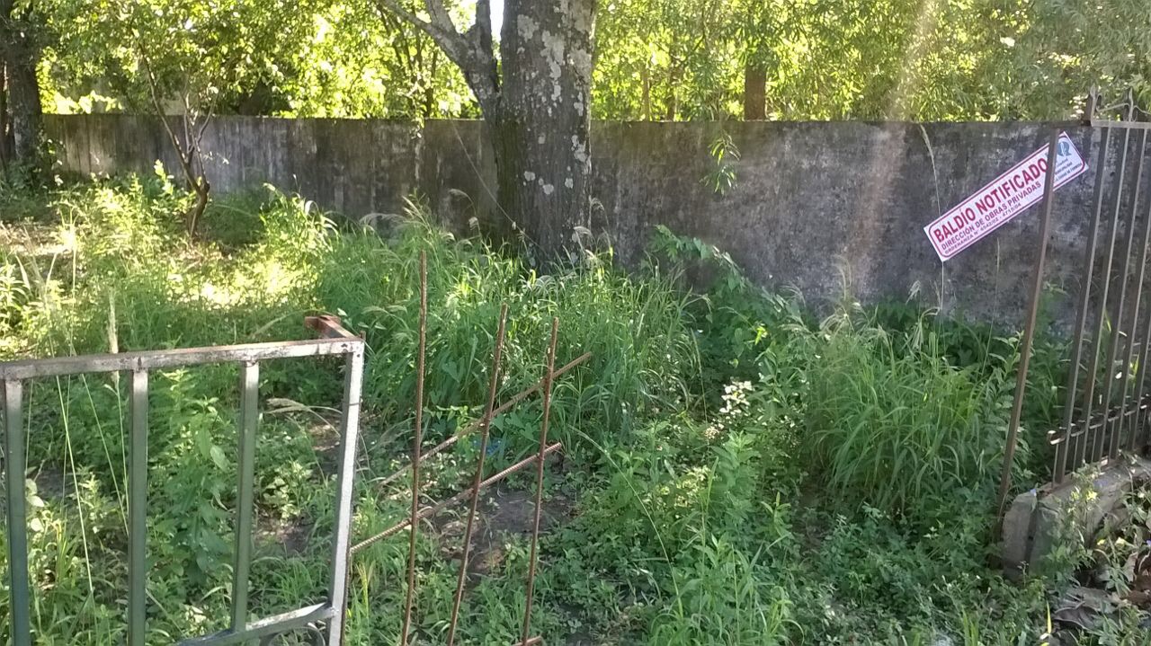 La Municipalidad intima a propietarios de terrenos baldíos sucios y autos abandonados en la vía pública