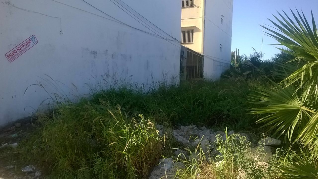 La Municipalidad intima a propietarios de terrenos baldíos sucios y autos abandonados en la vía pública