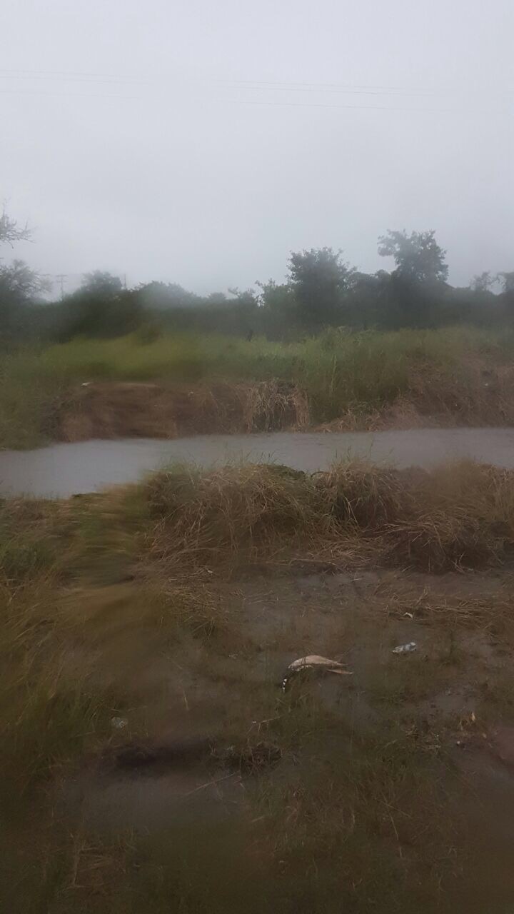Las zonas inundables, en fotos